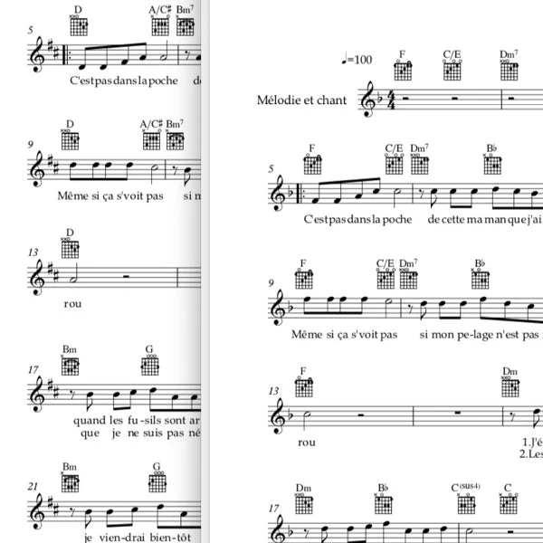 C’est pas dans la poche - Mélodie, texte et accords de guitare